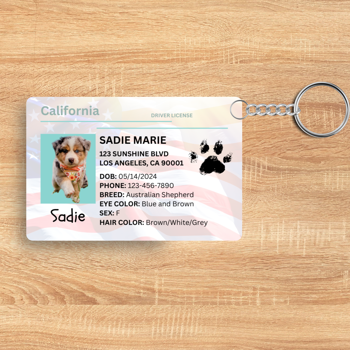 Custom Pet ID Keychain โ Personalized Dog & Cat Tag | Cute Sublimation Name Tag with License Info | Double-Sided Pet Accessory Gift