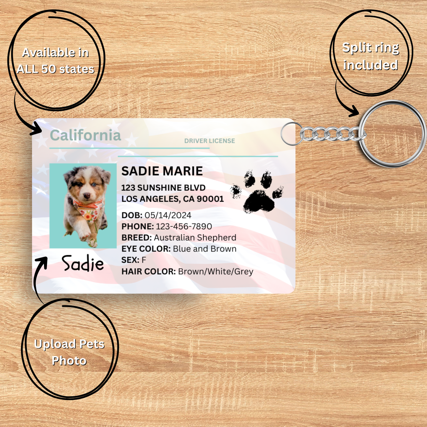 Custom Pet ID Keychain โ Personalized Dog & Cat Tag | Cute Sublimation Name Tag with License Info | Double-Sided Pet Accessory Gift